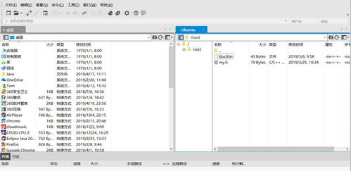 Linux 开源高性能稳定服务器操作系统入门指南